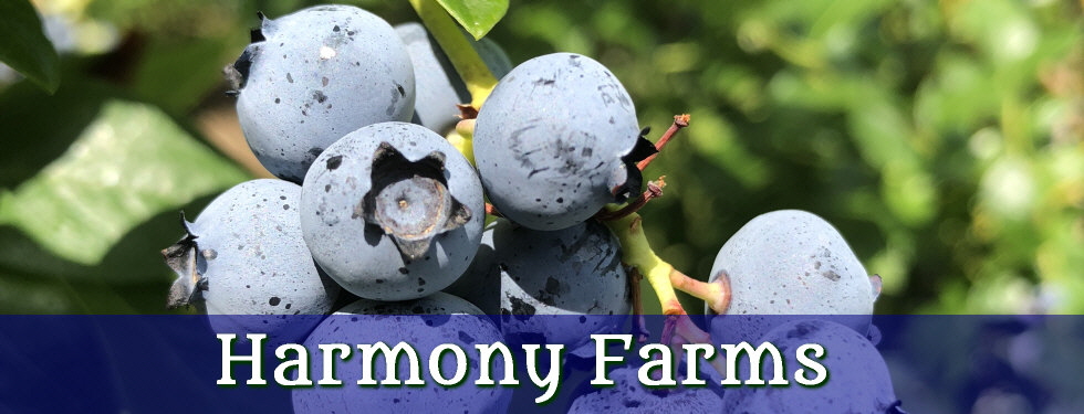 Harmony Farms | 387 Saw Mill Road | North Scituate, RI 02857 | (401) 934-0741